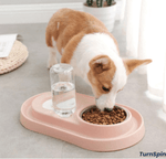 Feeder Fountain Duo – Stainless Steel Pet Bowls with Auto - Water Bottle - TurnSpin Products