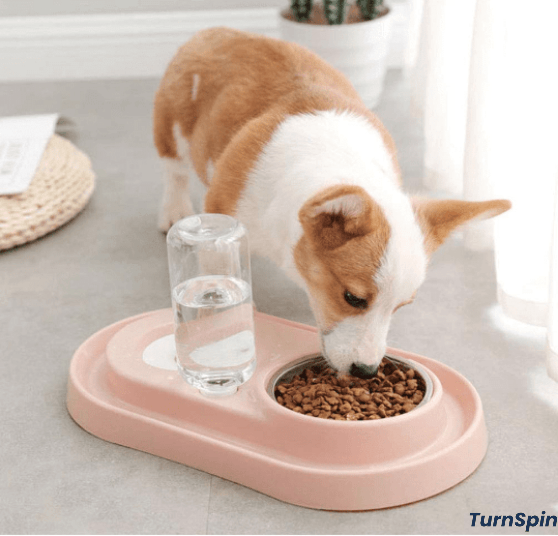 Feeder Fountain Duo – Stainless Steel Pet Bowls with Auto - Water Bottle - TurnSpin Products